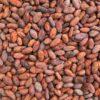 Cacao Bonen