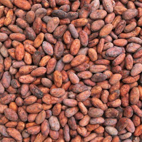 Cacao Bonen