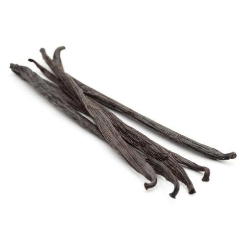 Bourbon Vanillestokje (Bio)