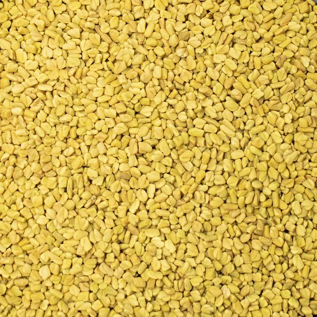 Fenegriek Topkwaliteit Kopen