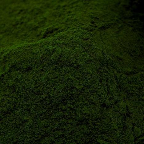 Chlorella