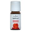 Etherische Olie Geranium