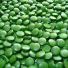 Chlorella