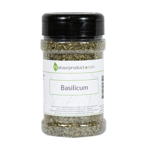 Basilicum