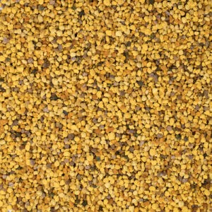 Bijenpollen
