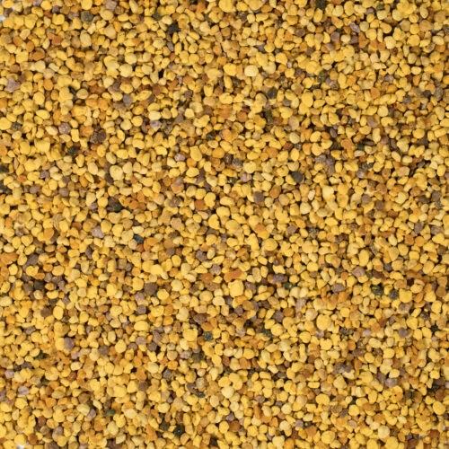 Bijenpollen