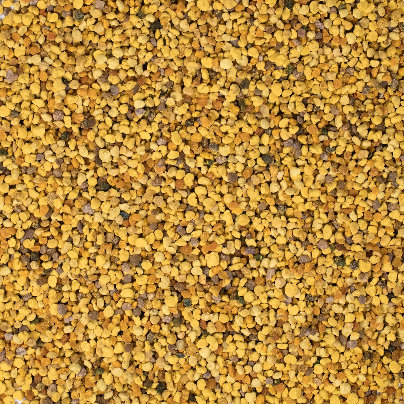 Bijenpollen
