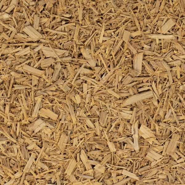 Cat's Claw