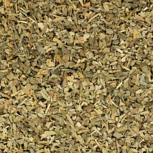 Ginkgo Biloba