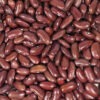 Kidneybonen