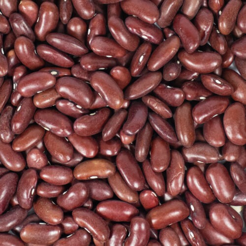 Kidneybonen