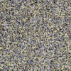Lavendel