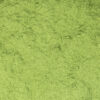 Moringa Poeder