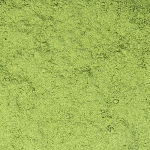 Moringa Poeder