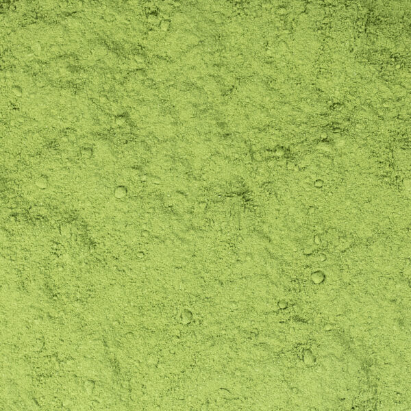 Moringa Poeder