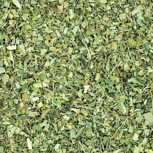 Moringa Thee