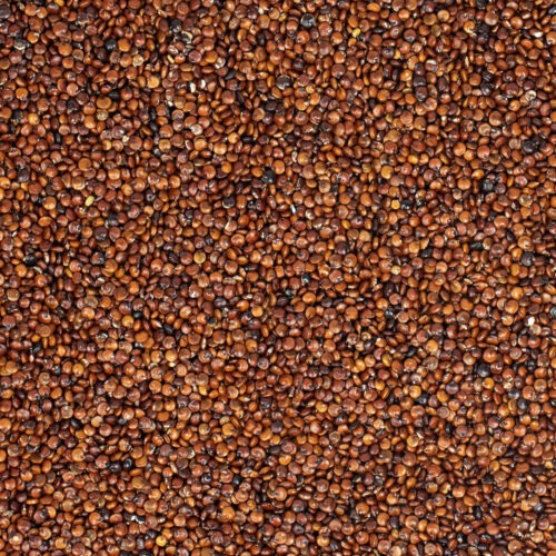 Quinoa Rood