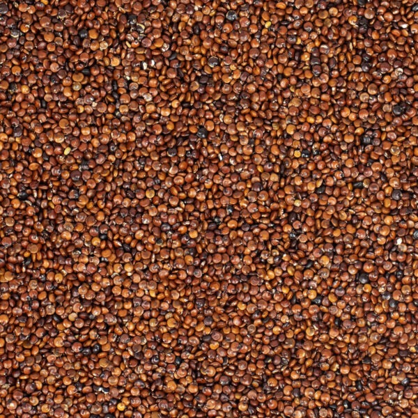 Quinoa Rood