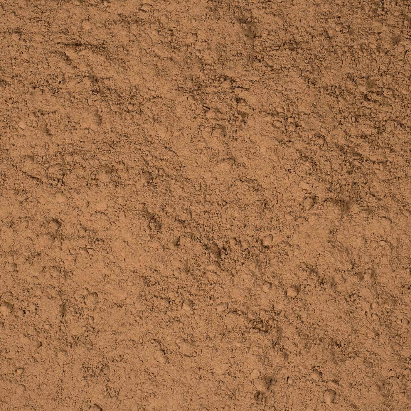 Cacaopoeder