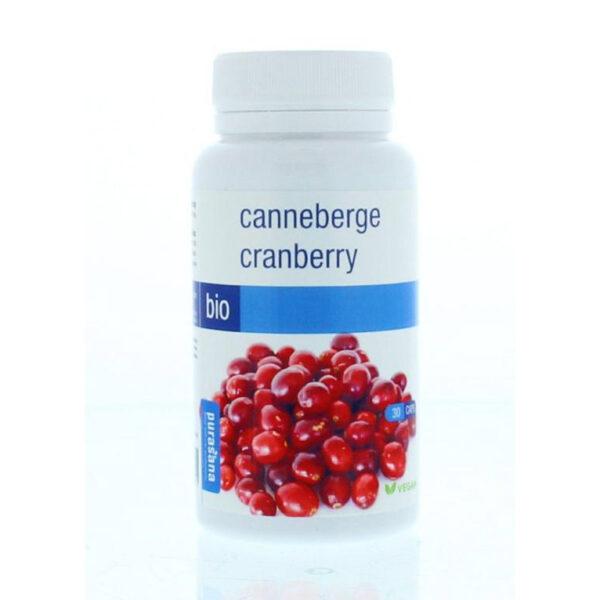 Cranberry