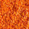 Linzen Rood (Bio)