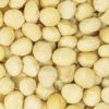 Macadamia's Onbewerkt
