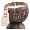 Kokosnoot Geurkaars Chestnut
