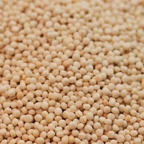 Couscous (Bio)