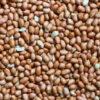 Vliespinda's (Bio)