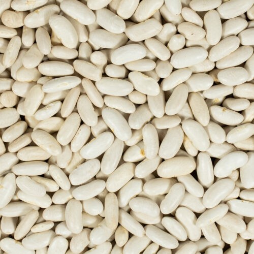 Witte Bonen