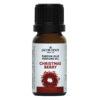 Parfum Olie – Christmas Berry