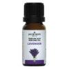 Parfum Olie – Lavendel