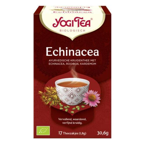 Echinacea Theezakjes (Bio)