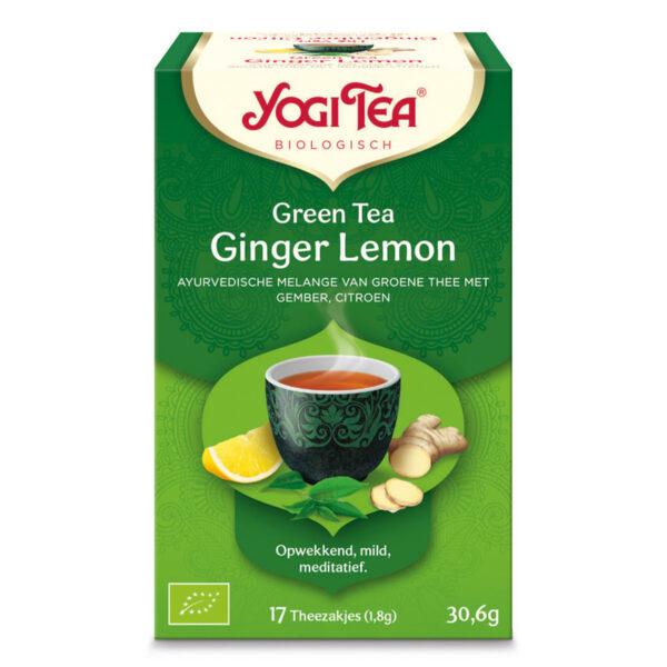 Ginger Lemon Theezakjes (Bio)