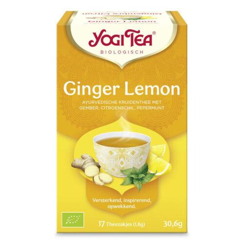 Ginger Lemon Theezakjes (Bio)