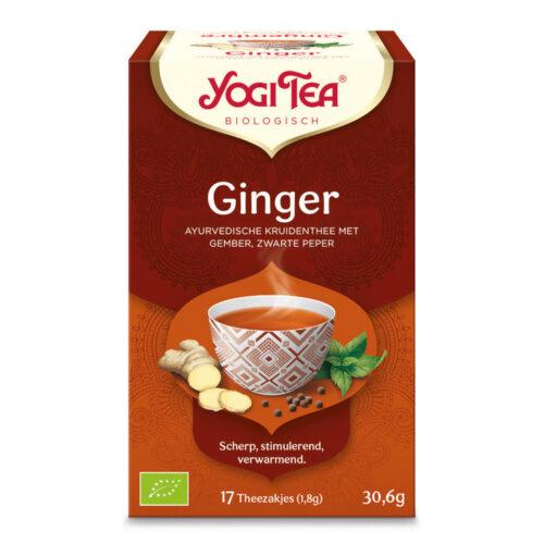 Ginger Theezakjes (Bio)