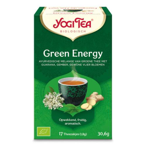 Green Energy Theezakjes (Bio)