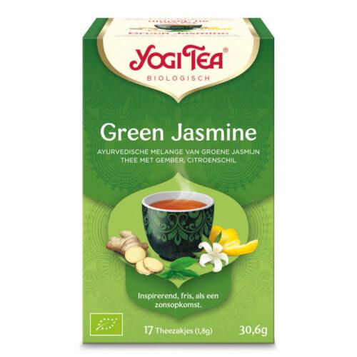 Green Jasmine Theezakjes (Bio)