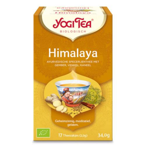 Himalaya Theezakjes (Bio)