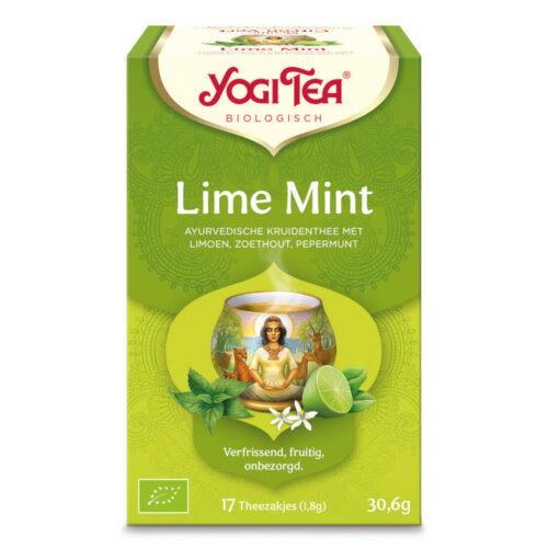 Lime Mint Theezakjes (Bio)