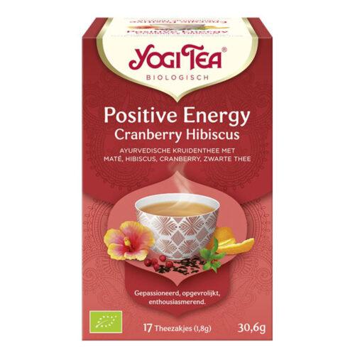 Positive Energy Theezakjes (Bio)