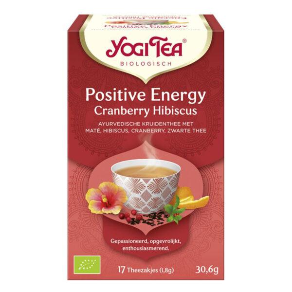 Positive Energy Theezakjes (Bio)