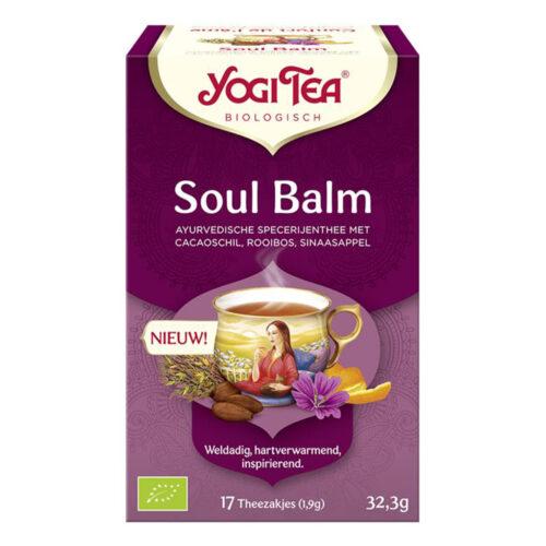 Soul Balm Theezakjes (Bio)