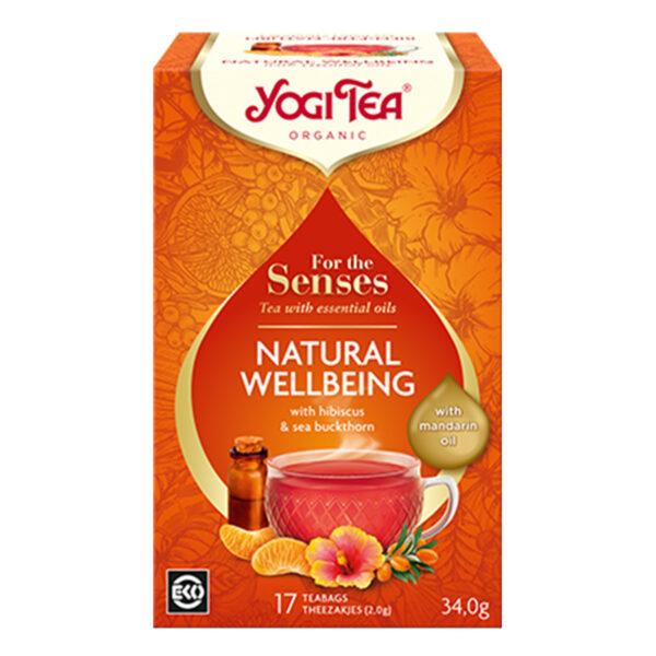 Natural Wellbeing Theezakjes (Bio)