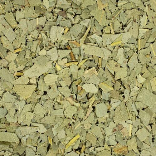 Eucalyptus thee