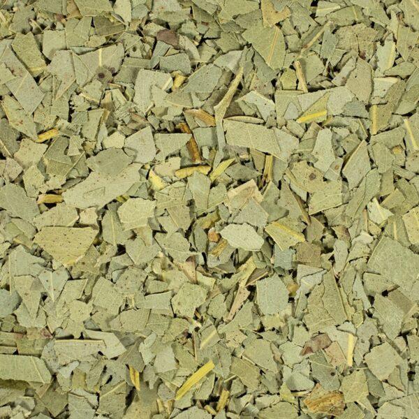 Eucalyptus thee