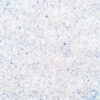 Perzisch Blauw Zout