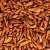 Chilipepers Bird's Eye