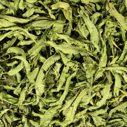 Verveine