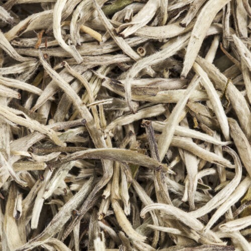 Witte Thee Silver Needle
